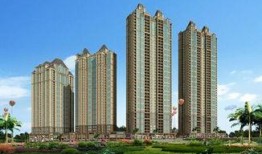 华府政治在线观看,揭秘美国政治风云